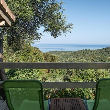 Les Terrasses De Scaglioli Villa Villanova Eksteriør billede