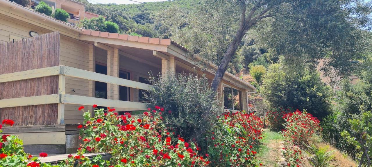 Les Terrasses De Scaglioli Villa Villanova Eksteriør billede