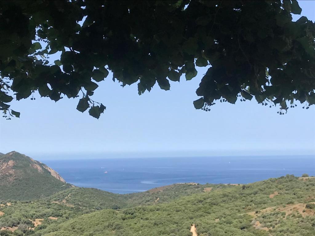 Les Terrasses De Scaglioli Villa Villanova Eksteriør billede