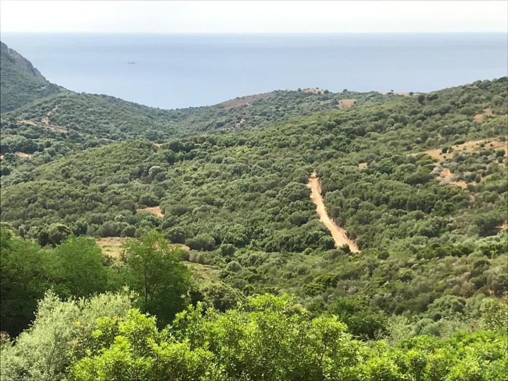 Les Terrasses De Scaglioli Villa Villanova Eksteriør billede