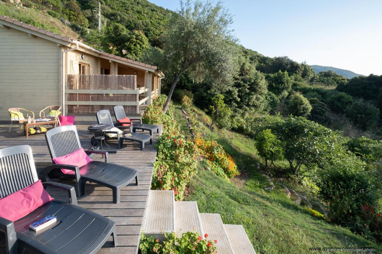 Les Terrasses De Scaglioli Villa Villanova Eksteriør billede