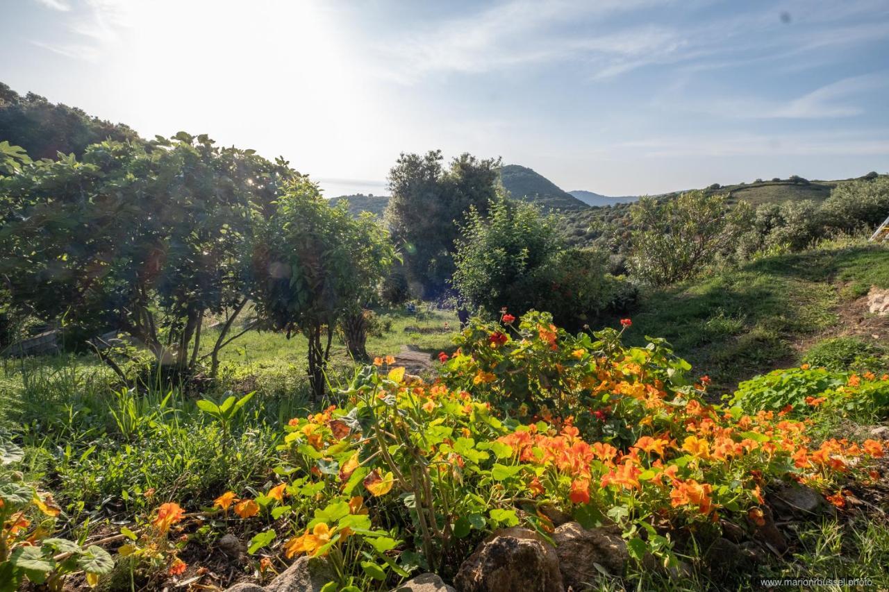Les Terrasses De Scaglioli Villa Villanova Eksteriør billede