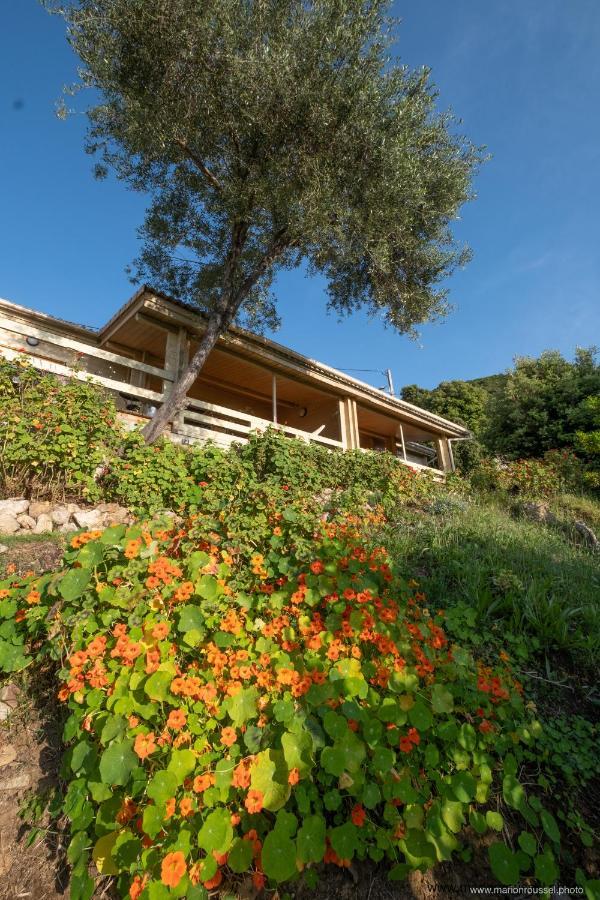 Les Terrasses De Scaglioli Villa Villanova Eksteriør billede